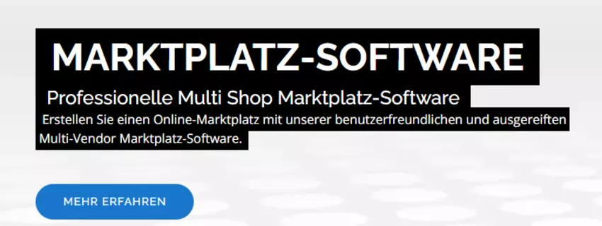 Professionelle Multi Vendor Kleinanzeigen-Software